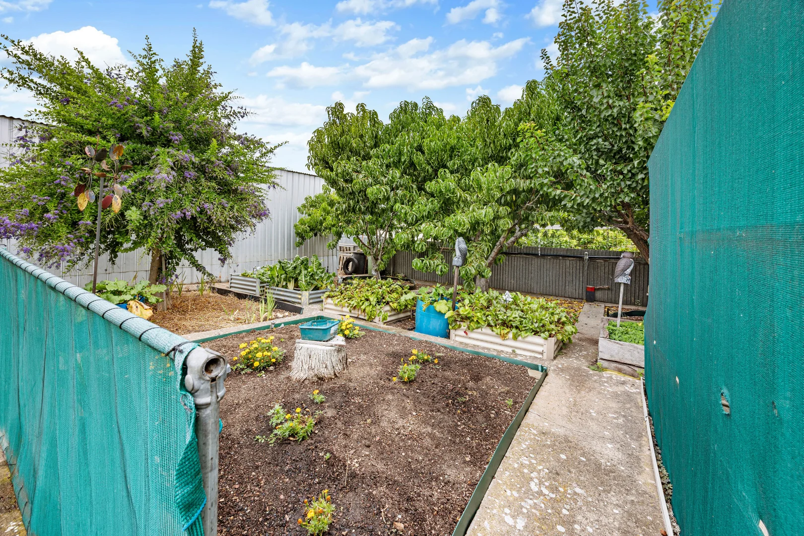 Additional image 19 of 20 Pine Crescent, Coffin Bay SA 5607