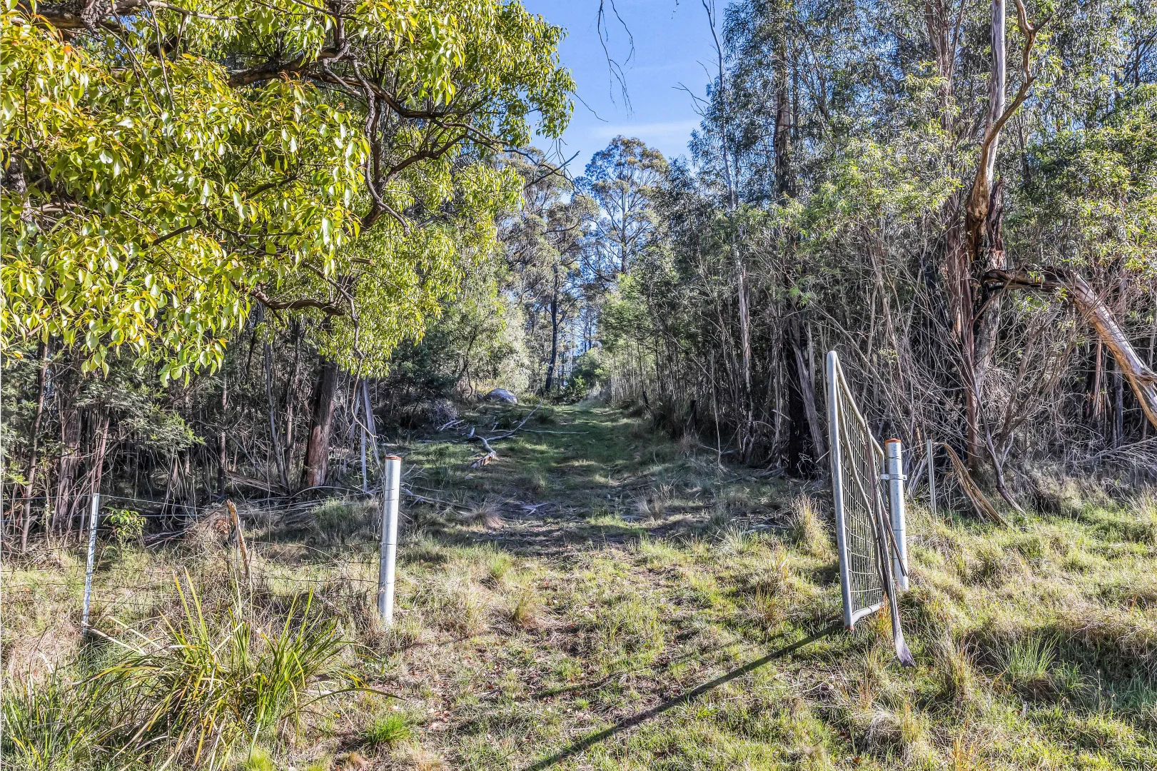 Additional image 10 of 718 Yowrie Road, Yowrie NSW 2550