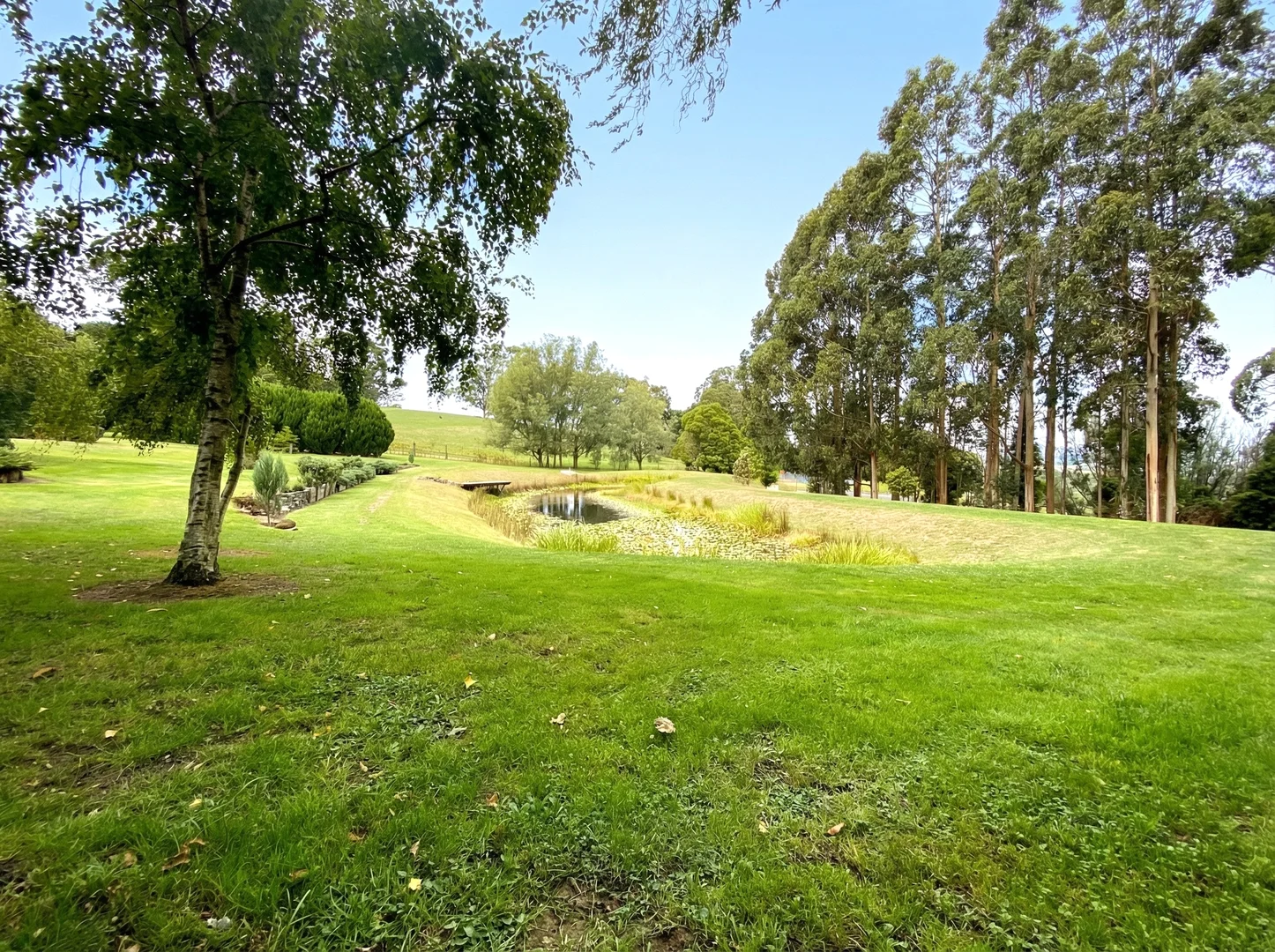 Additional image 29 of 30 O'Malleys Road, Mardan VIC 3953