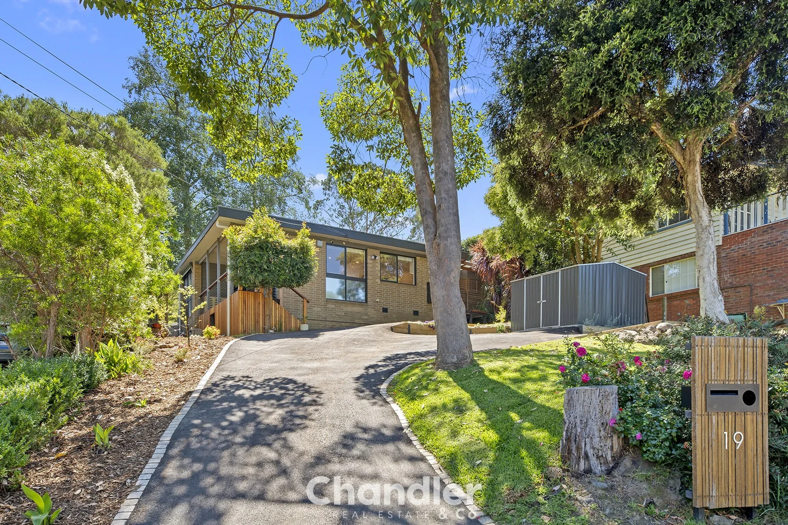 19 Bellbird Street, Belgrave VIC 3160