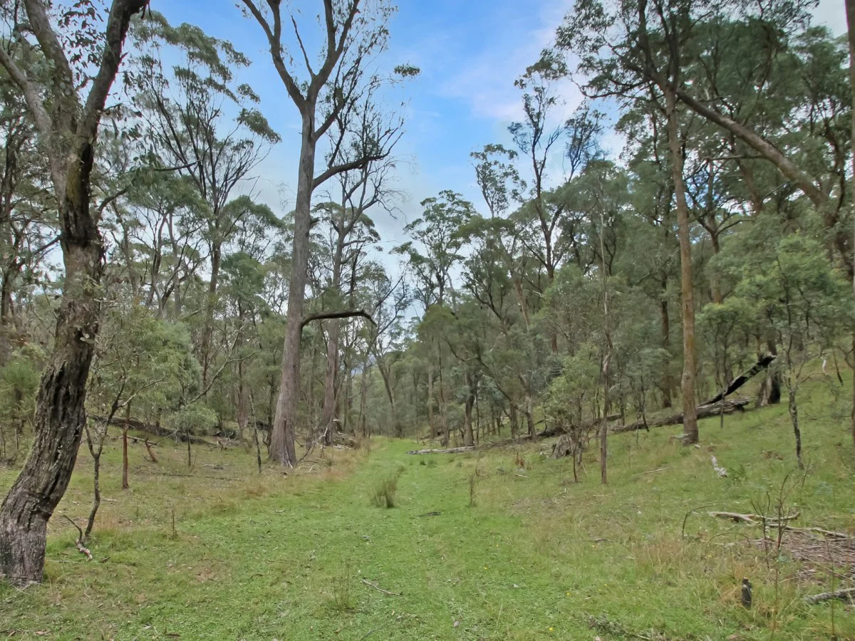 Additional image 2 of 135 Kangaroo Track, Omeo VIC 3898