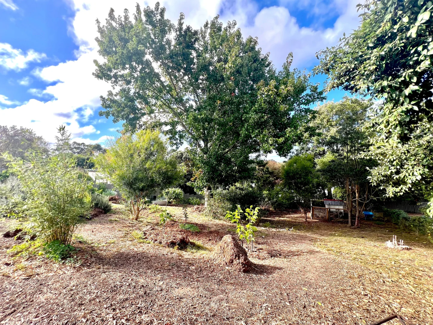 Additional image 21 of 26 Bavin Street, Denmark WA 6333