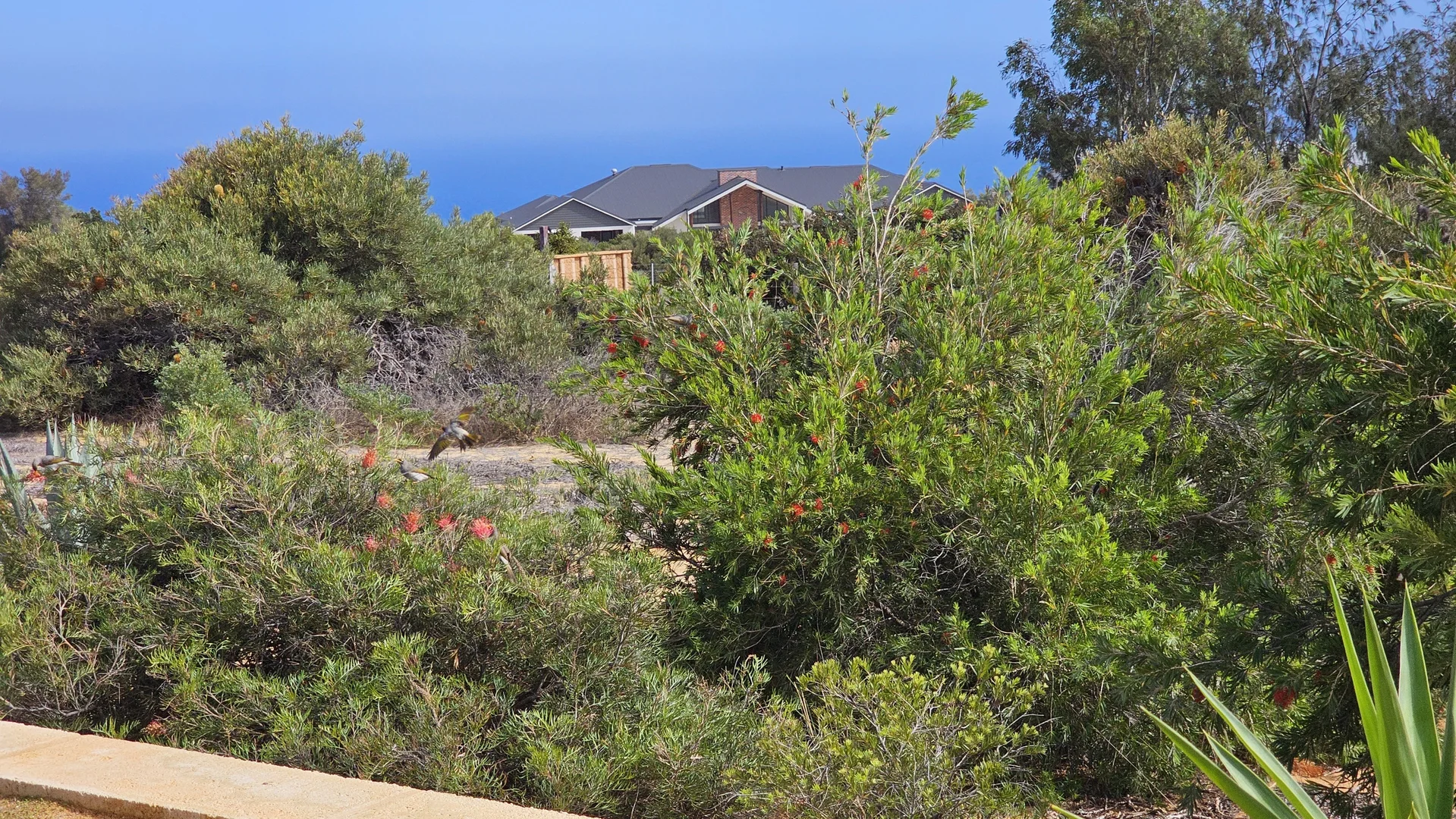 Additional image 16 of 8 Explorer Avenue, Kalbarri WA 6536