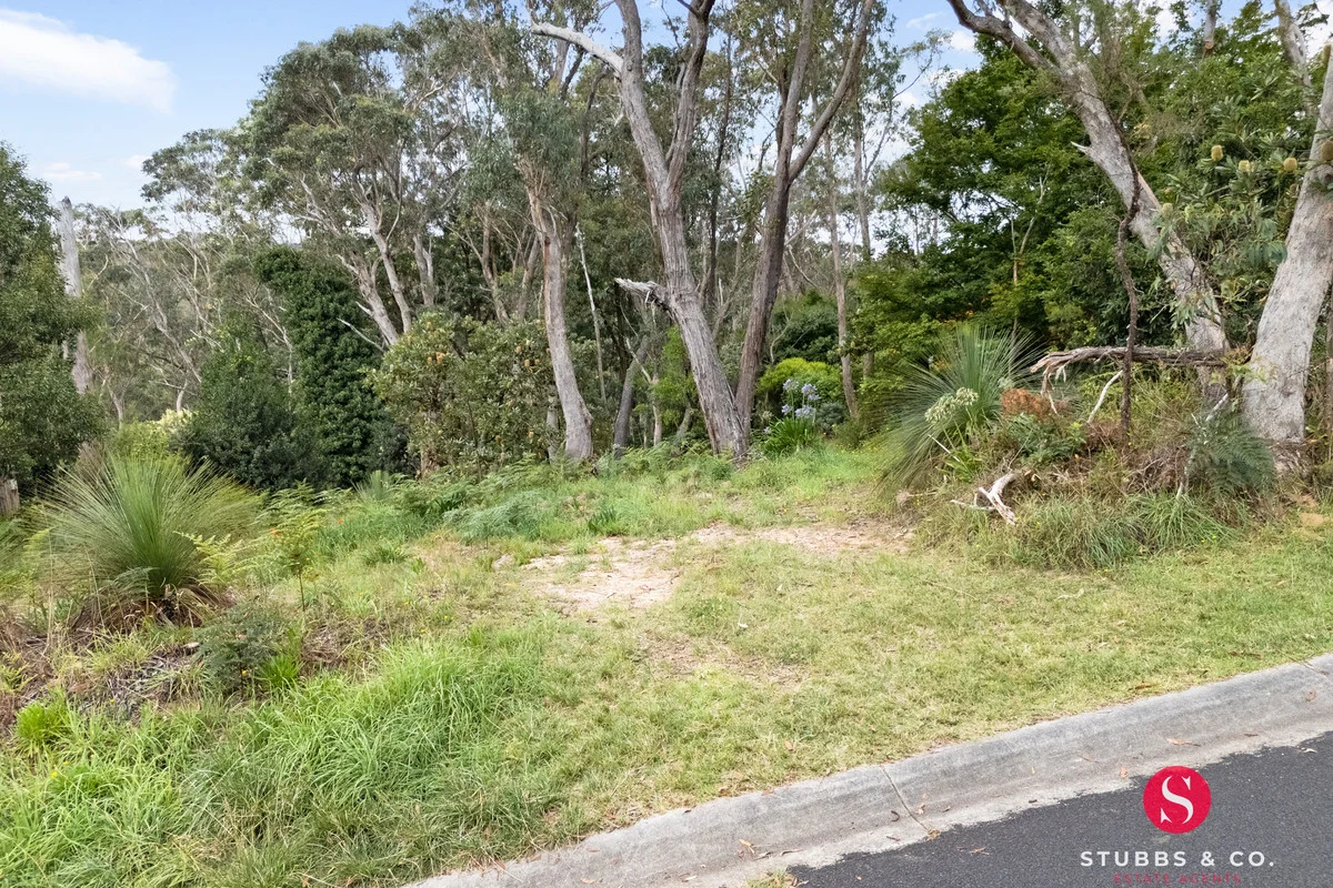 Additional image 4 of 59 Seventh Avenue, Katoomba NSW 2780