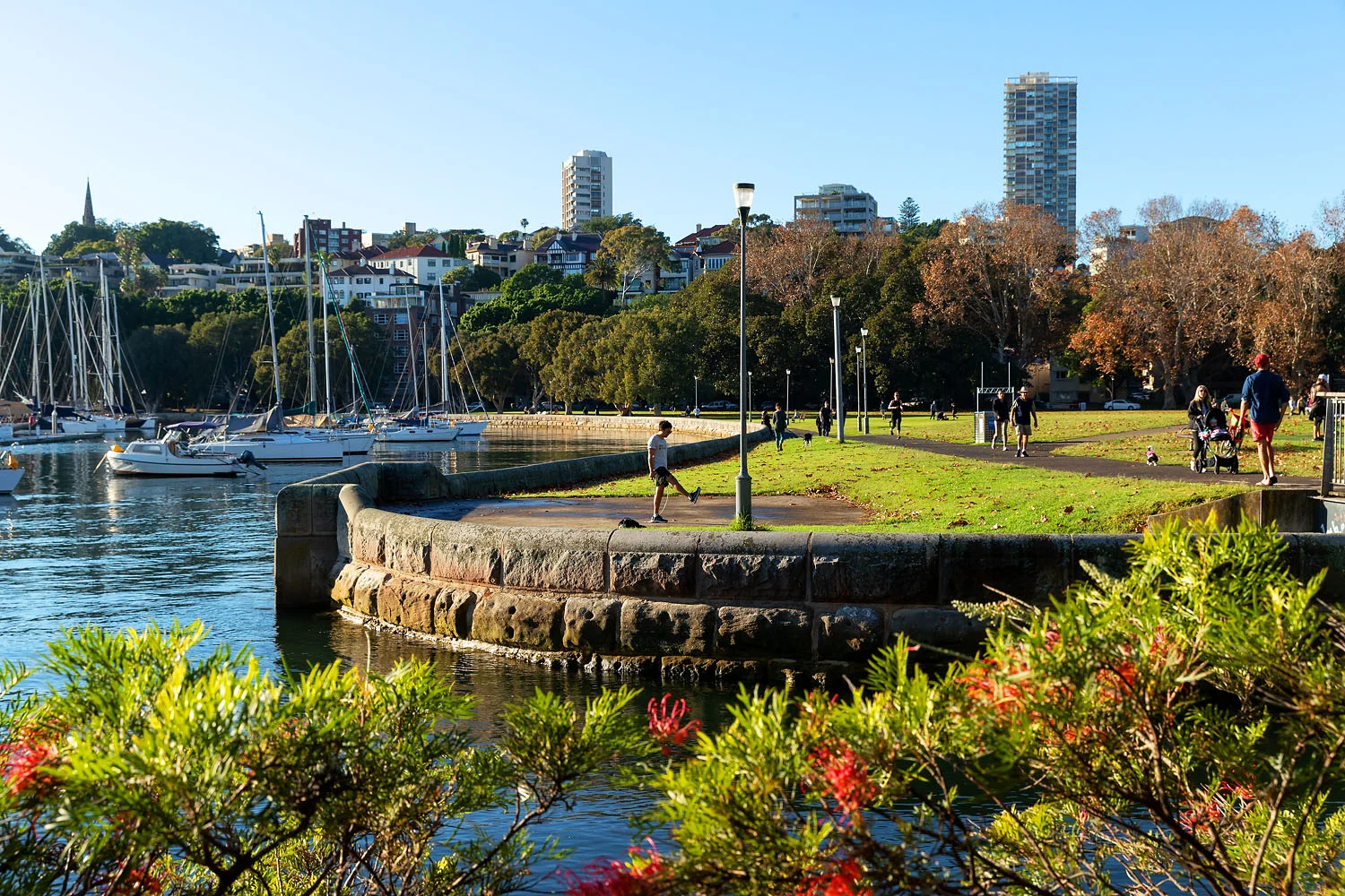 Additional image 13 of 1/4 Holdsworth Avenue, Elizabeth Bay NSW 2011