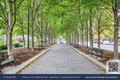 Additional image 23 of 75 Wall St Unit 251, New York, NY, 10005
