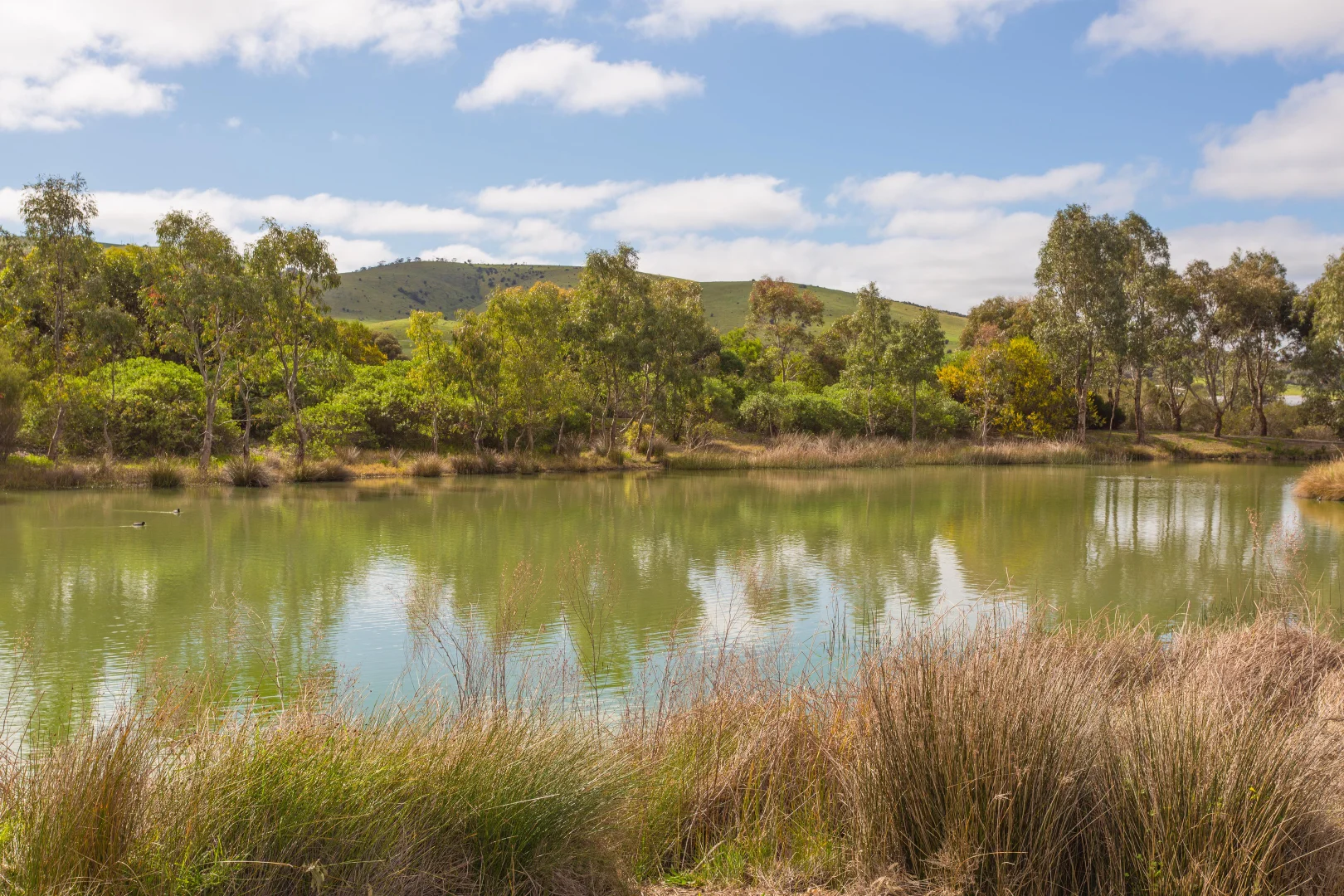 Additional image 34 of 6 Springbett Drive, Hayborough SA 5211