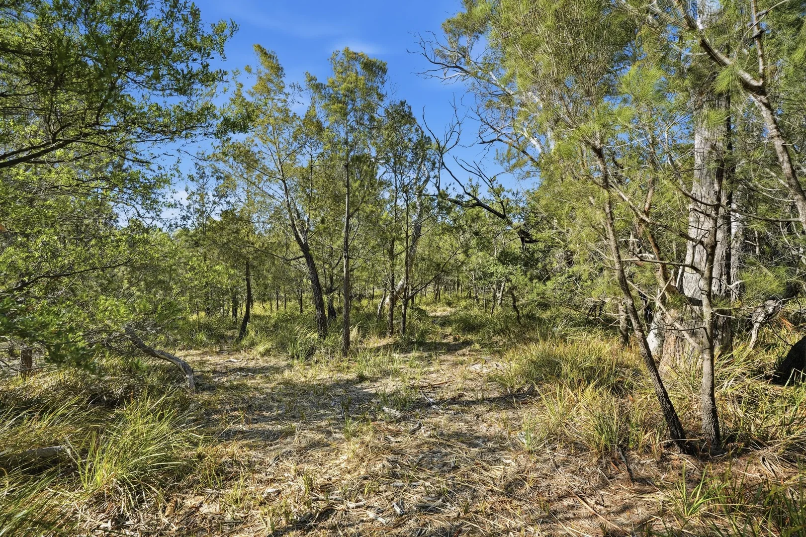 Additional image 10 of 3 Fynbos Court, Primrose Sands TAS 7173