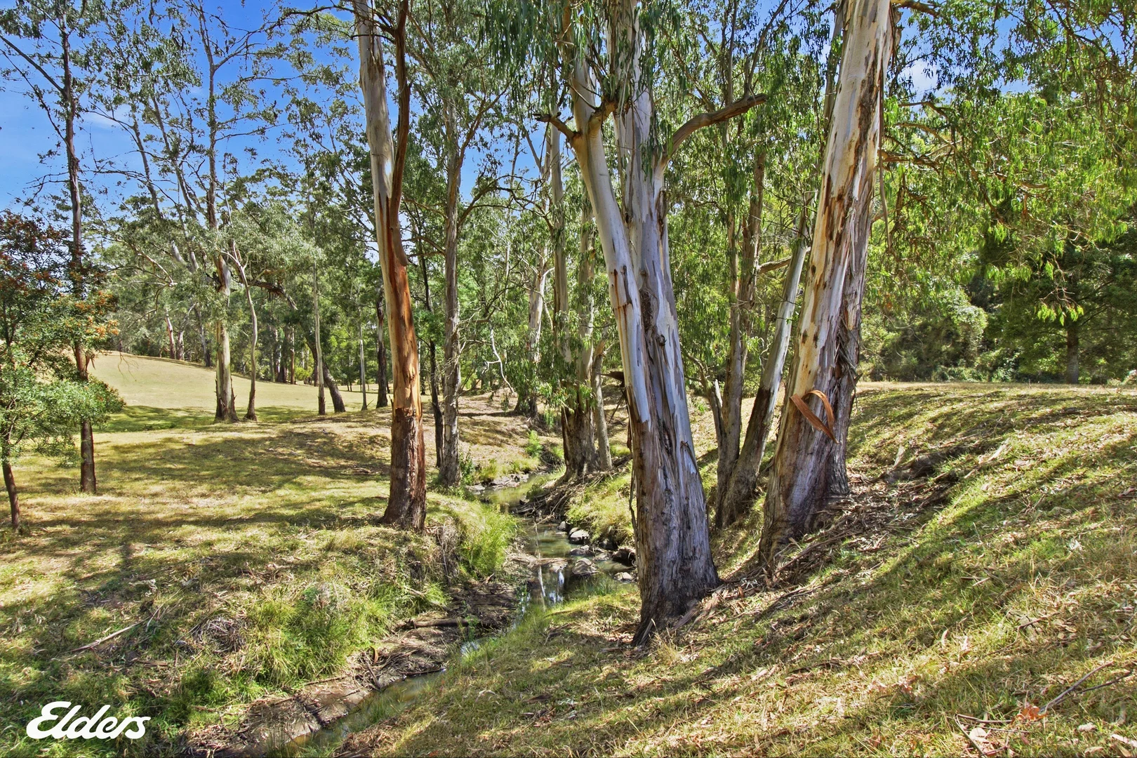 Additional image 36 of 235 Lays Road, Willung South VIC 3847