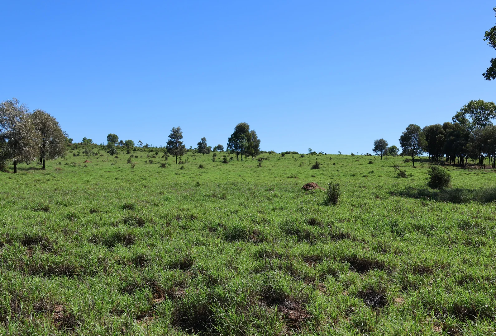 Additional image 16 of 3752 Mitchell Forest Vale Road, Mitchell QLD 4465
