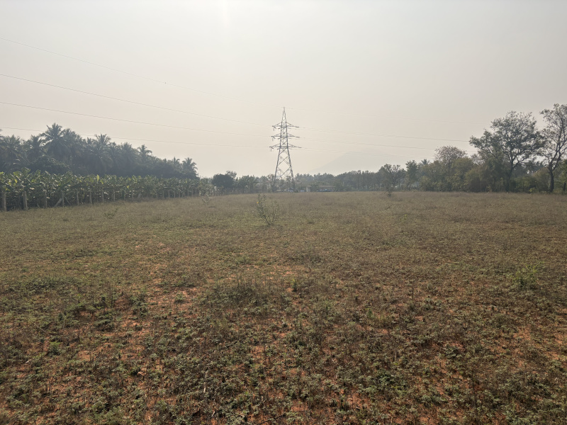 Thondamuthur, Coimbatore