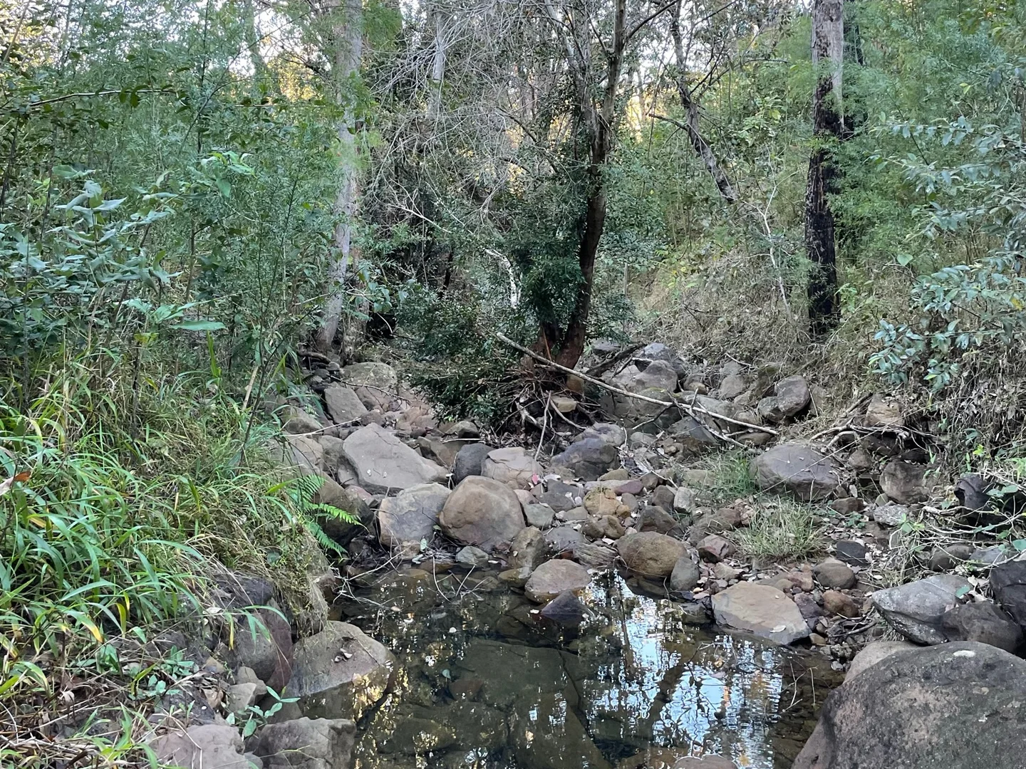 Additional image 5 of Lot 62 Armidale Road, Blaxlands Creek NSW 2460