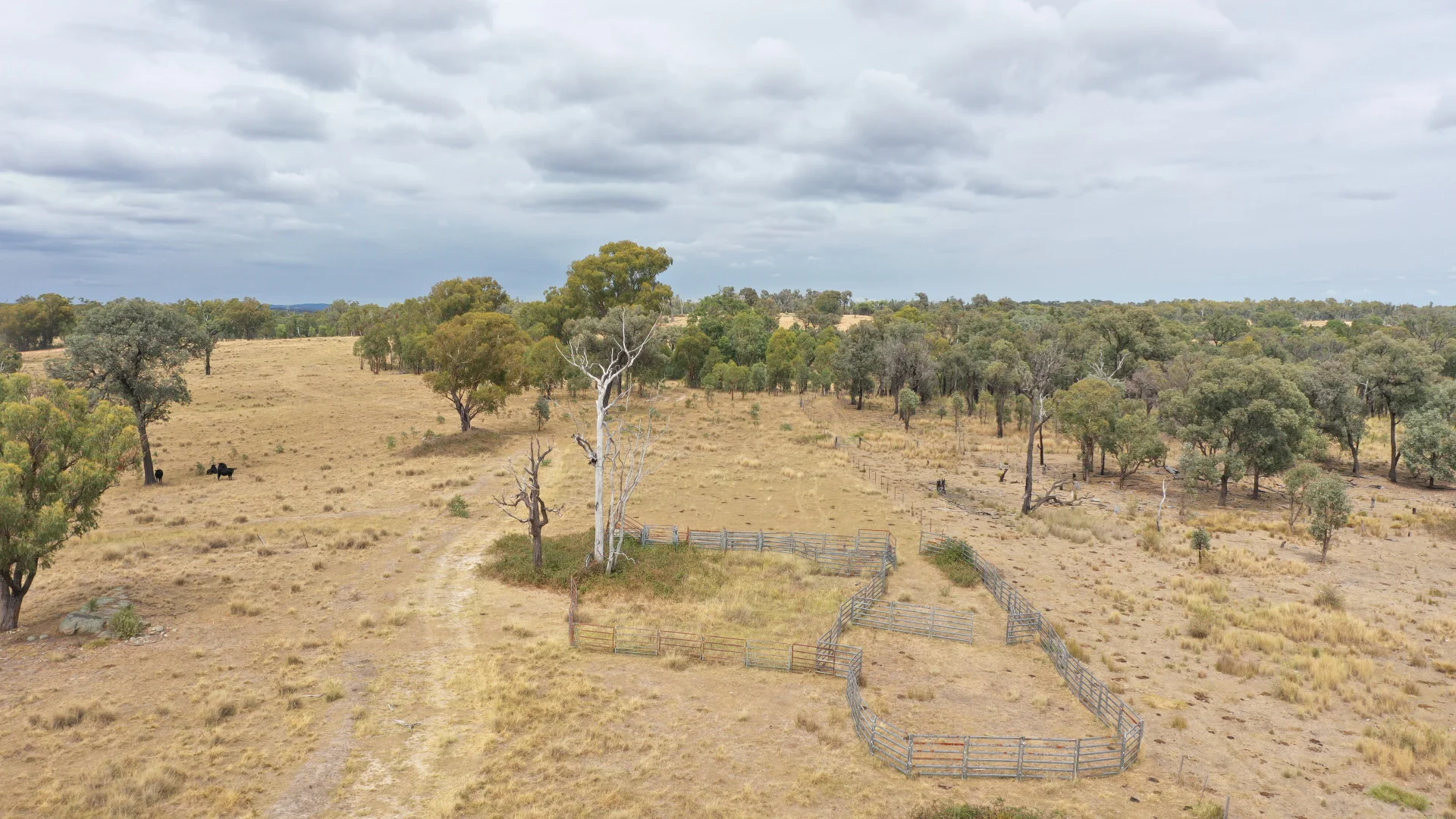 Additional image 7 of 631 Glenelg Road, Bundarra NSW 2359