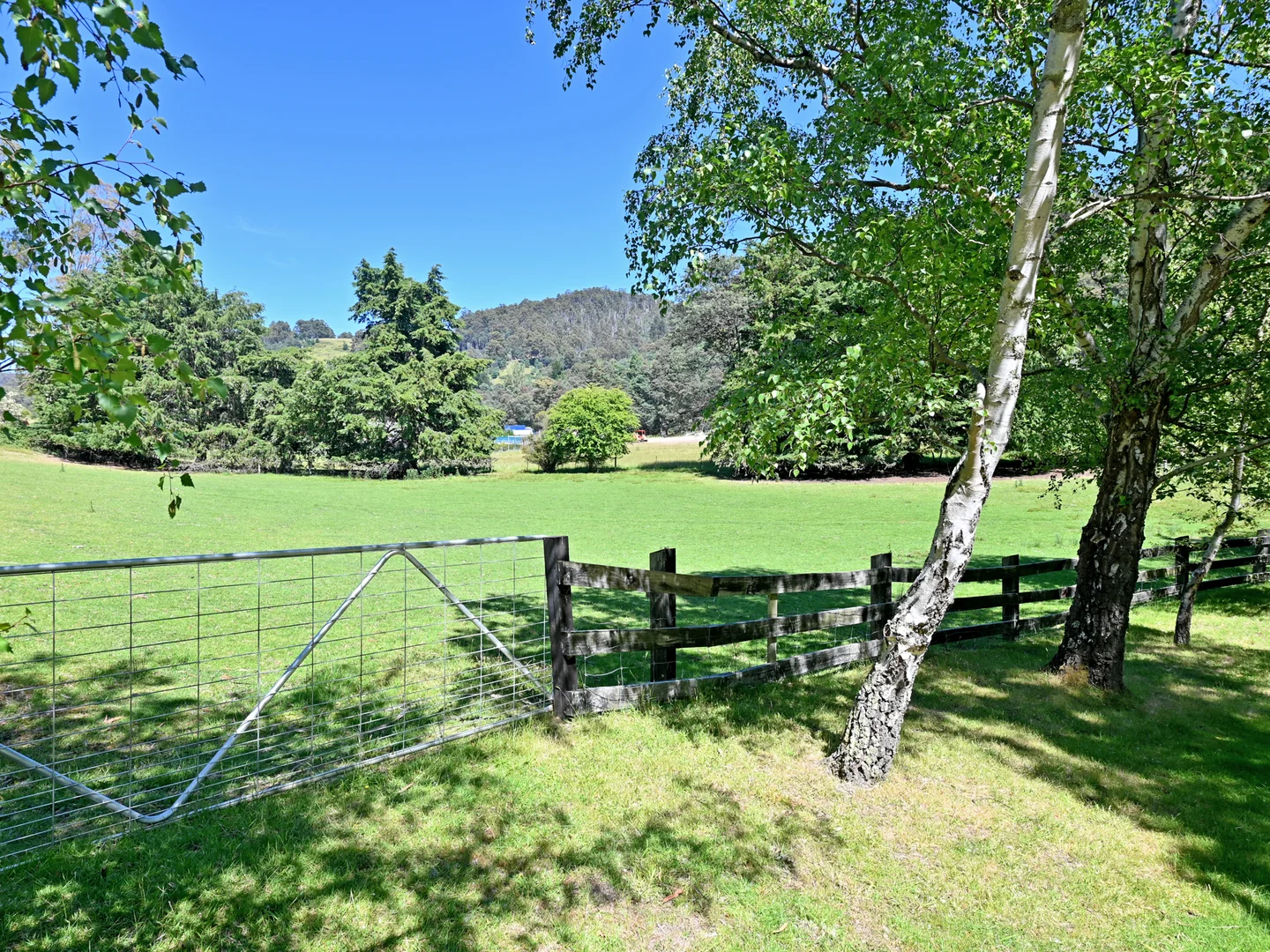 Additional image 23 of 92 Pelverata Road, Sandfly TAS 7150