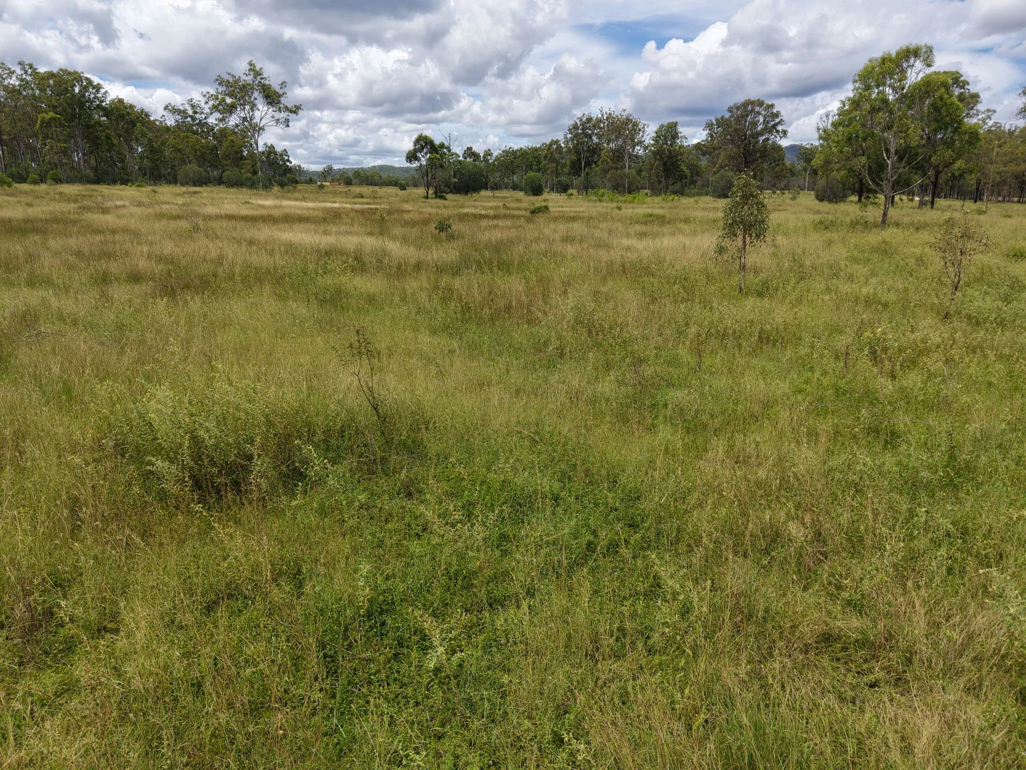Additional image 14 of 99 Valley Run Road, Boyne Valley QLD 4680