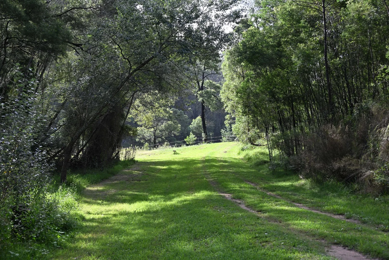 Additional image 24 of Upper Yango Ck Rd, Laguna NSW 2325