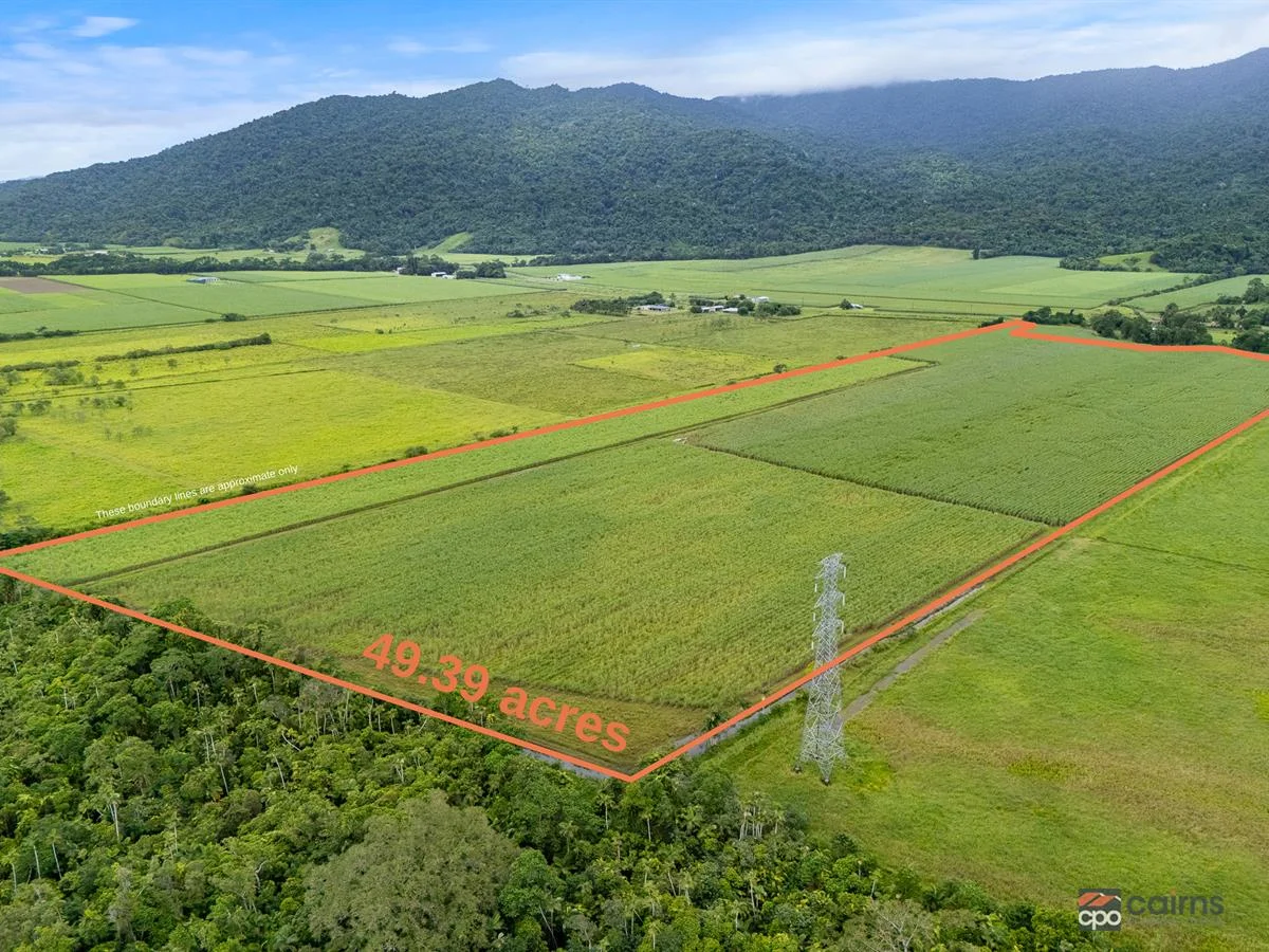 101 Bruce Highway, Bellenden Ker QLD 4871 photo 3