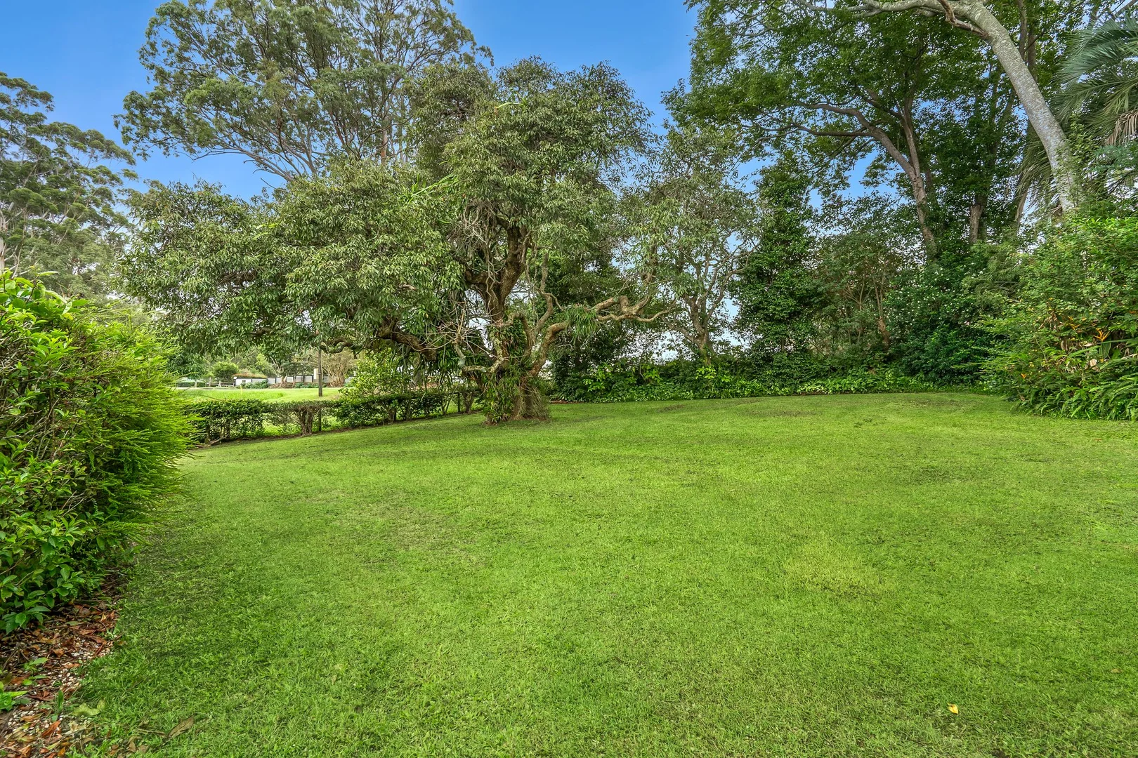 Additional image 21 of 64 Upper Rosemount Road, Rosemount QLD 4560