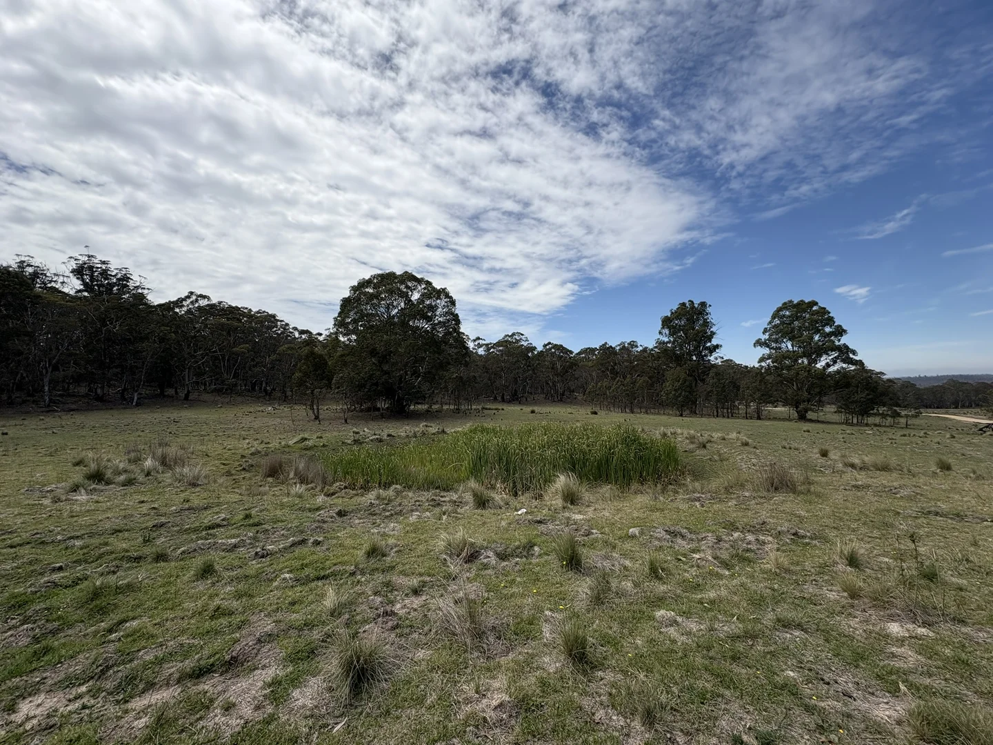 Additional image 6 of Lot 31/31, 175 Tumbledown Road, Peak View NSW 2630