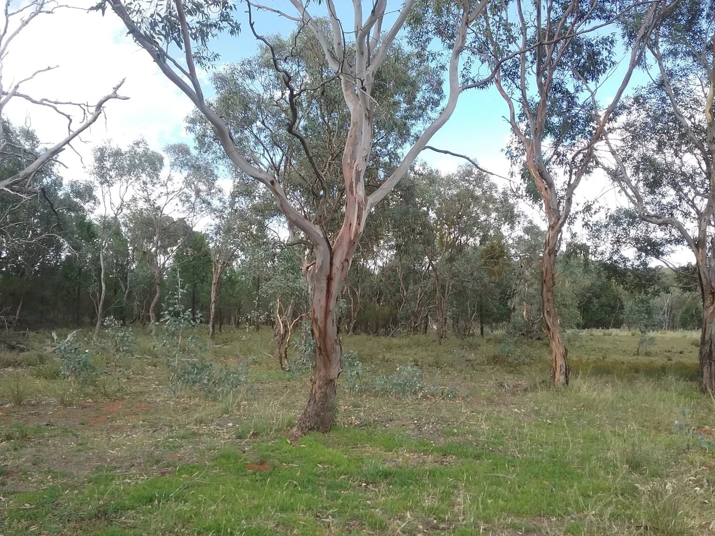 Additional image 2 of 141 Cenn Cruaich Road, Coonabarabran NSW 2357