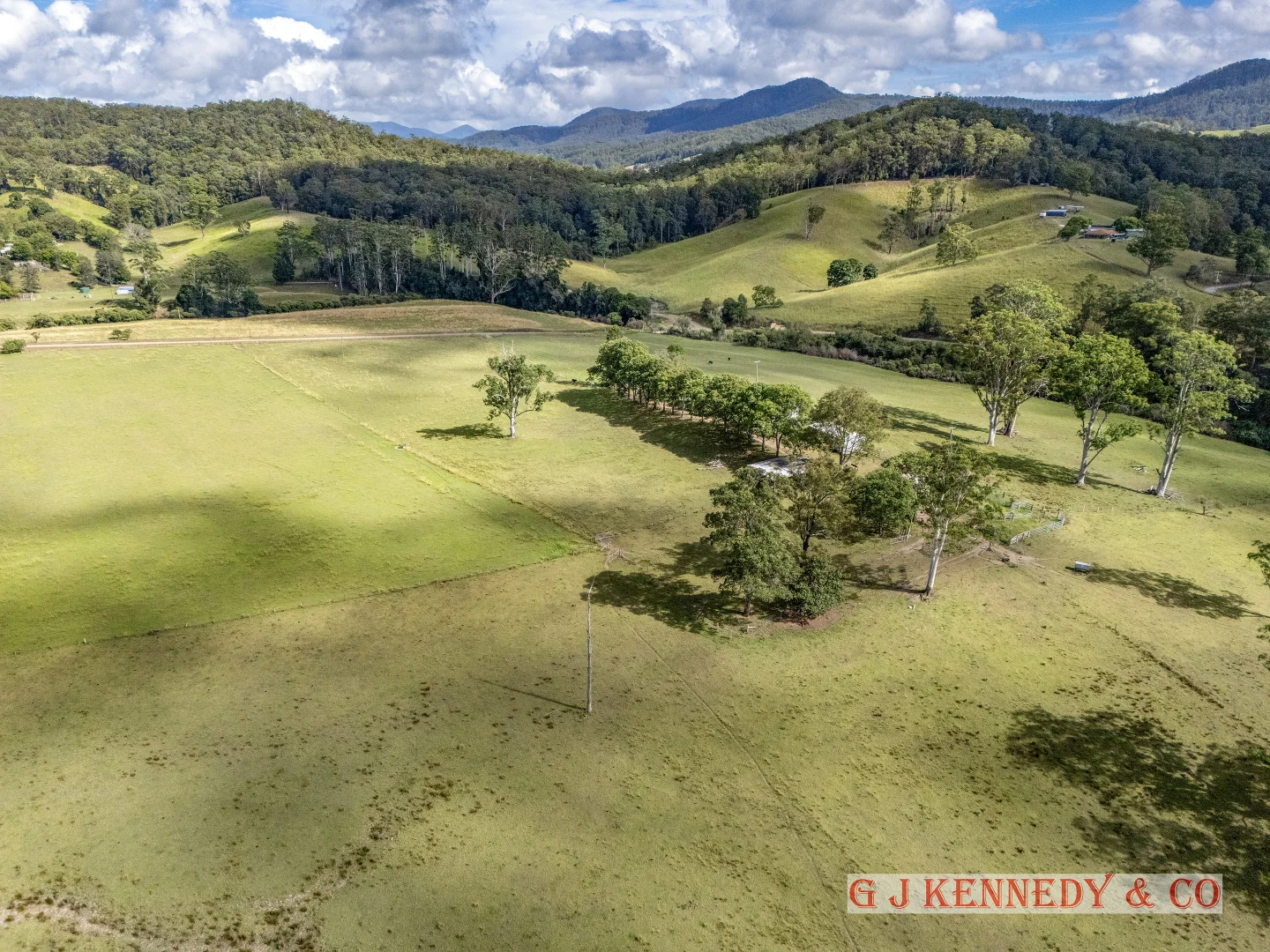 Additional image 7 of 223 Bakers Creek Road, Taylors Arm NSW 2447