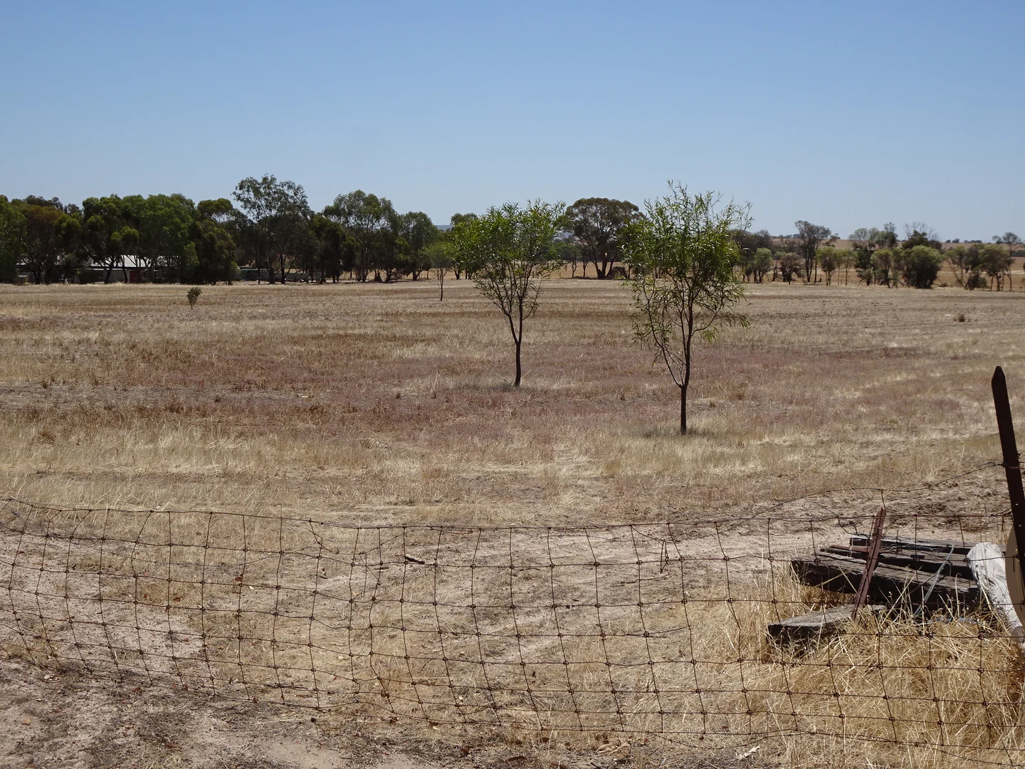 5 Realm Street, Pingelly WA 6308 photo 2
