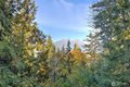 Additional image 40 of 5791 N Lake Cushman Rd, Hoodsport, WA, 98548