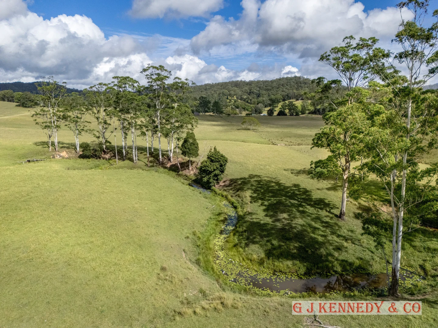 Additional image 9 of 223 Bakers Creek Road, Taylors Arm NSW 2447