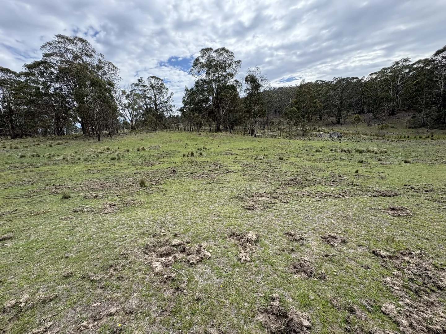 Additional image 15 of Lot 97/97, 175 Tumbledown Road, Peak View NSW 2630