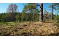 Additional image 10 of 660 Chief Kelly Dr, Nevada City, CA, 95959