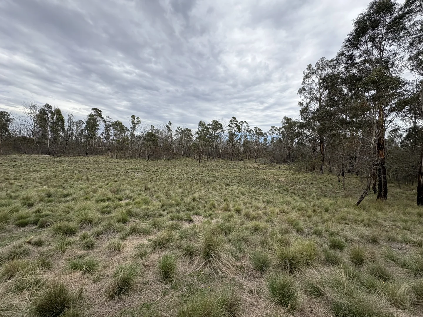 Additional image 12 of Lot 97/97, 175 Tumbledown Road, Peak View NSW 2630