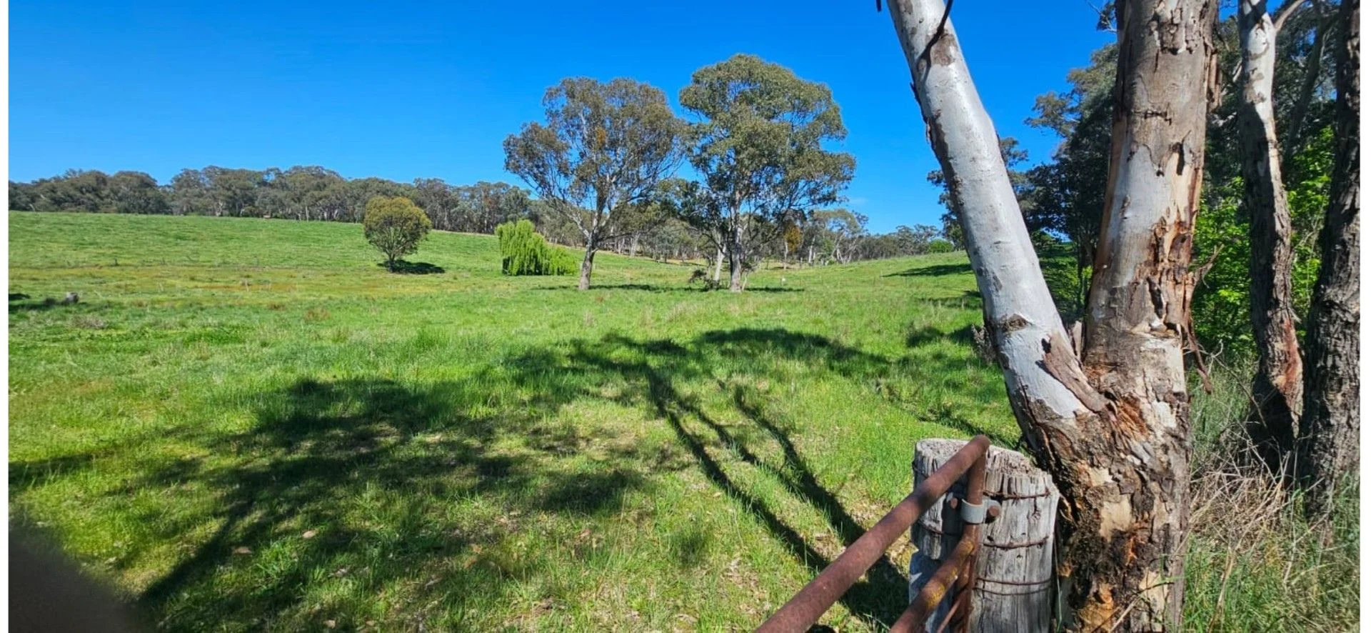 Race Creek Rd, Wombat via, Young NSW 2594