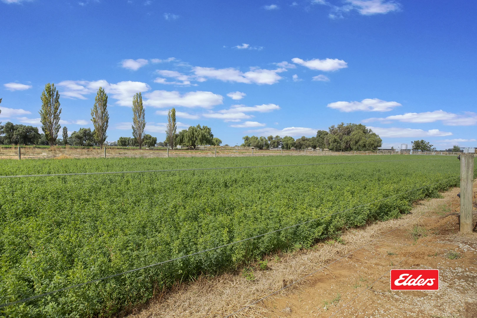 Additional image 28 of 315 Bamawm Road, Echuca VIC 3564