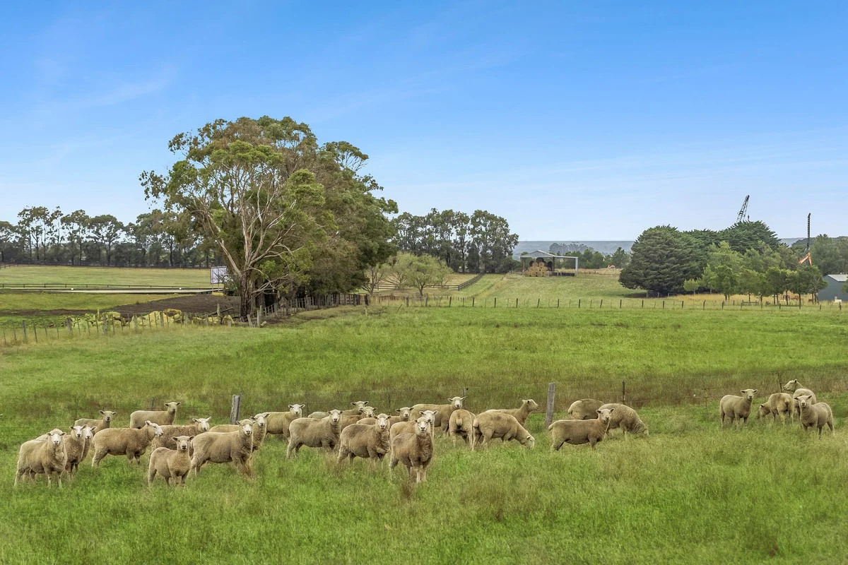 Additional image 20 of 895 Princes Highway, Mount Moriac VIC 3240
