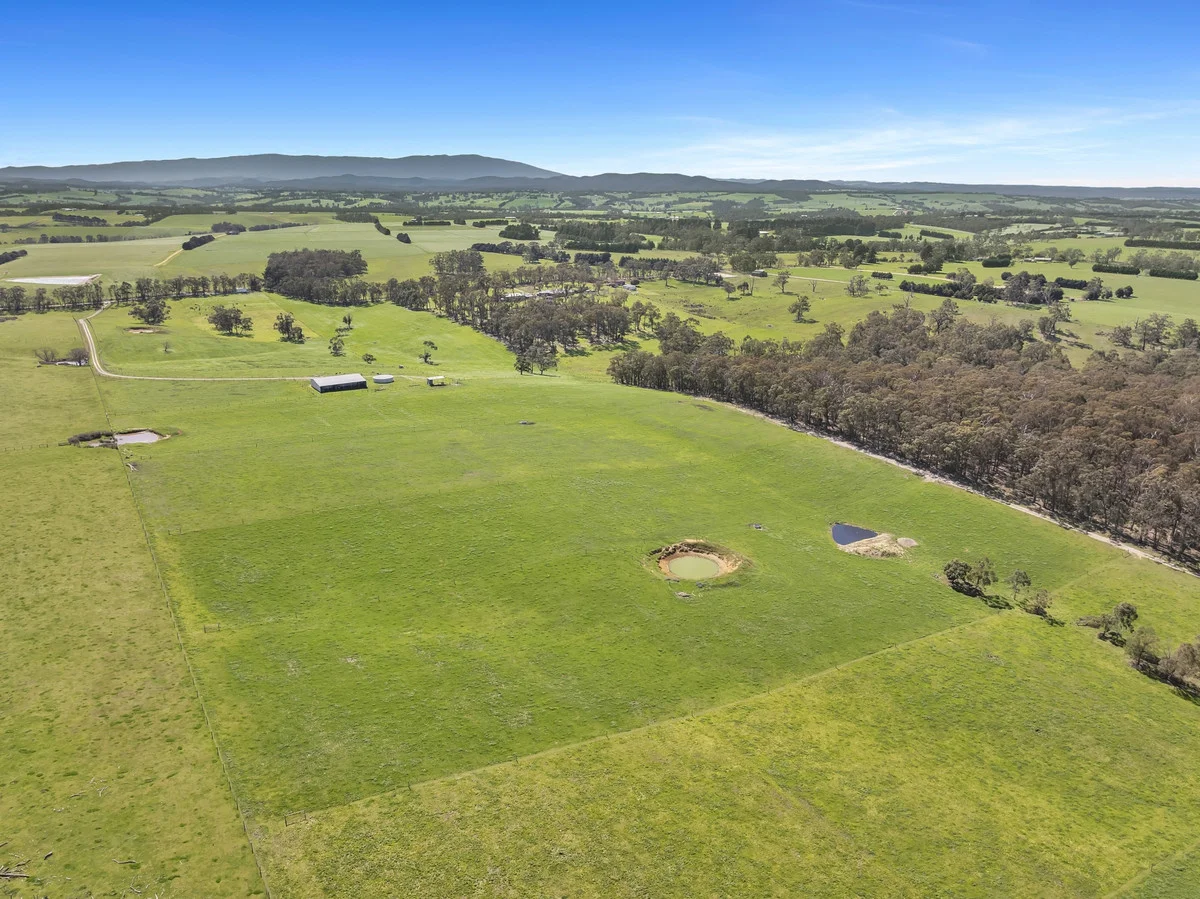 Additional image 5 of 109 Andersons Road, Yarragon VIC 3823