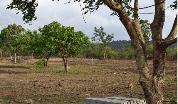 Additional image 3 of Ambegaon Budruk, Pune