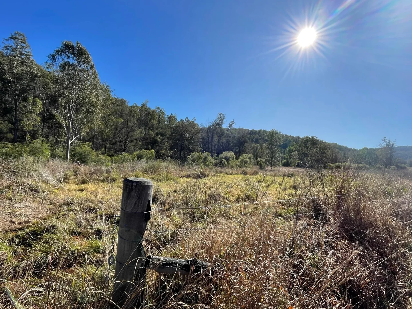 Additional image 6 of Lot 62 Armidale Road, Blaxlands Creek NSW 2460