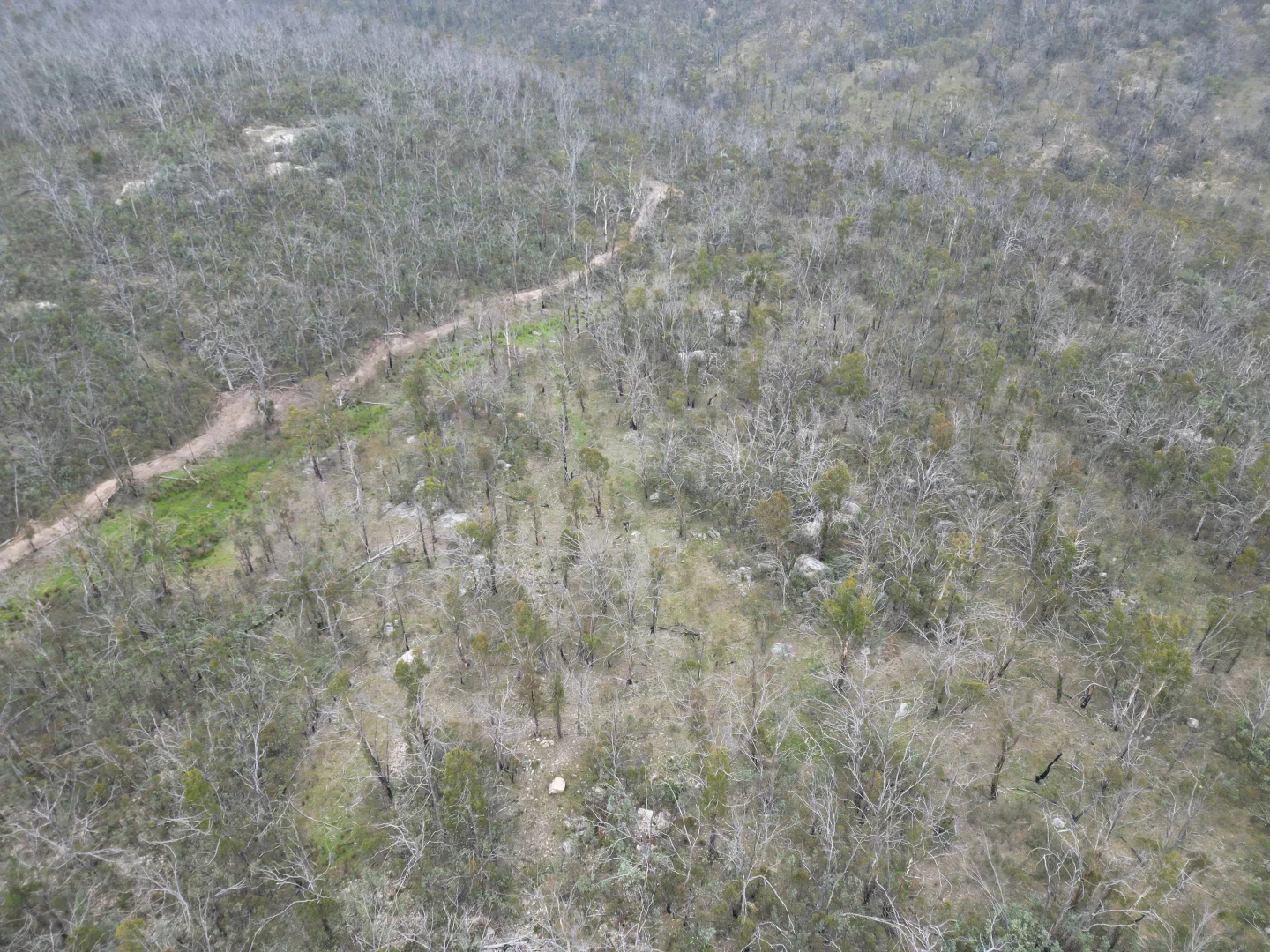 Additional image 24 of Lot 97/97, 175 Tumbledown Road, Peak View NSW 2630