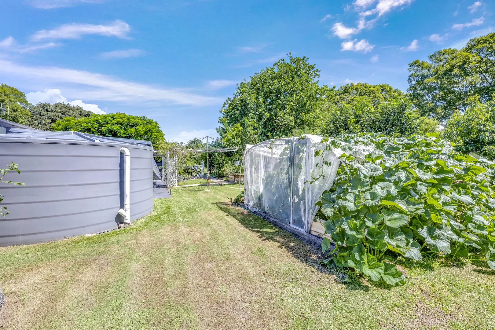 Additional image 29 of 332 Dahls Road, Calavos QLD 4670