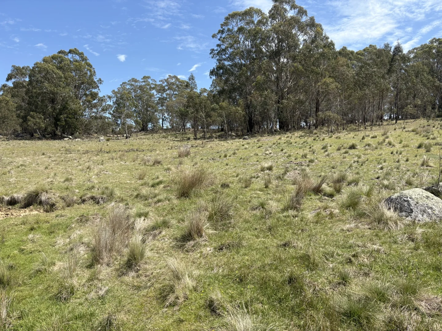 Additional image 13 of Lot 31/31, 175 Tumbledown Road, Peak View NSW 2630