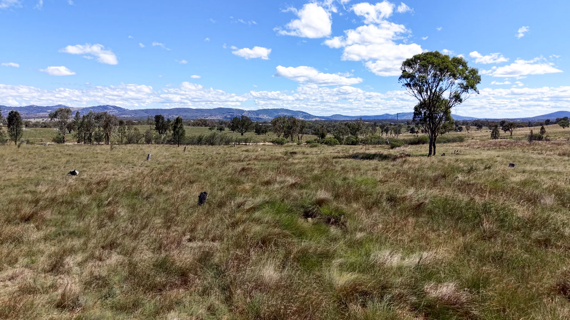Additional image 5 of 72 Tarban Road, Tenterfield NSW 2372