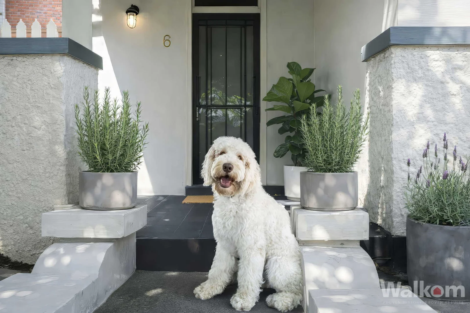 Additional image 13 of 6 Cowper Street, Georgetown NSW 2298