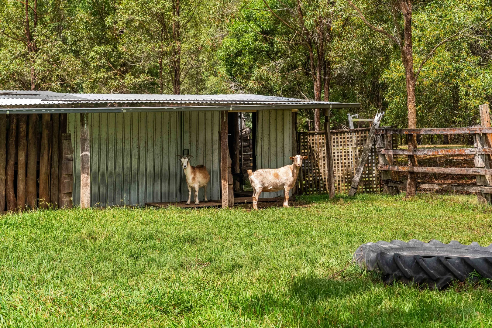 Additional image 18 of 2275 Coraki Ellangowan Road, Ellangowan NSW 2470