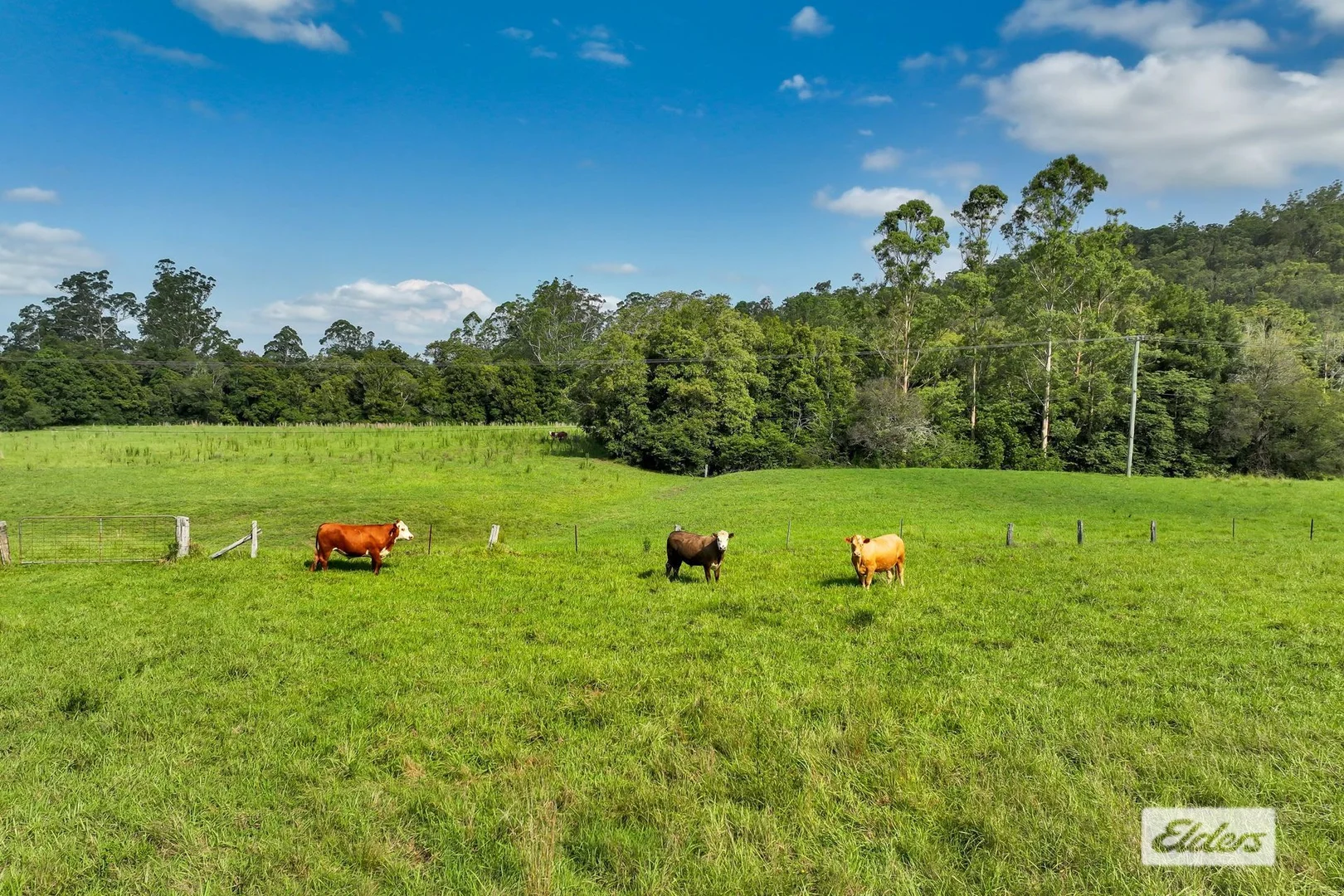 Additional image 19 of 1698 Yarramalong Road, Yarramalong NSW 2259