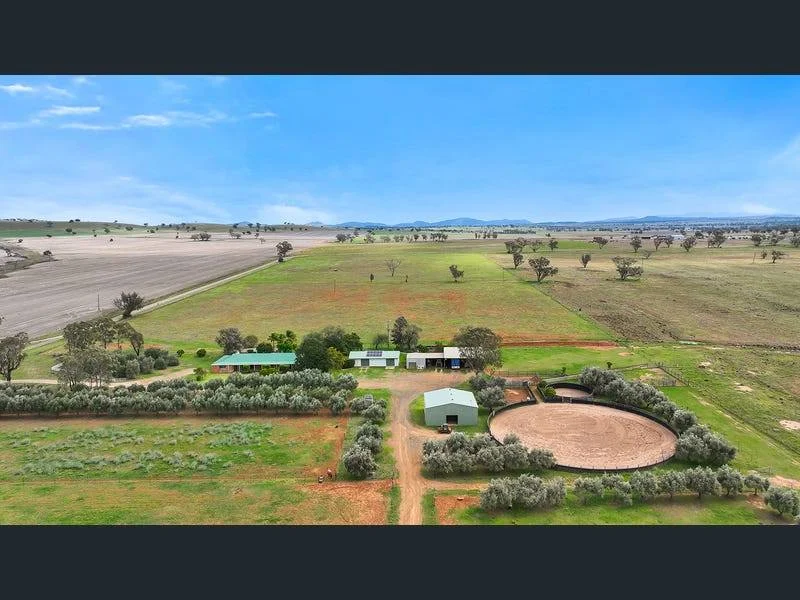 Additional image 5 of "La Trinidad", Tamworth NSW 2340