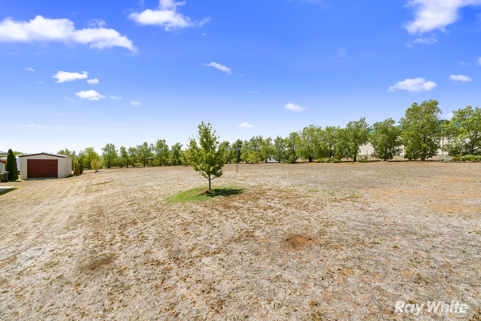 Additional image 18 of 7 Loughan Road, Junee NSW 2663