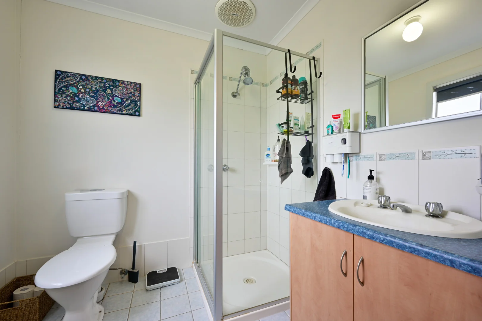Additional image 11 of 11 Elliott Street, Quorn SA 5433