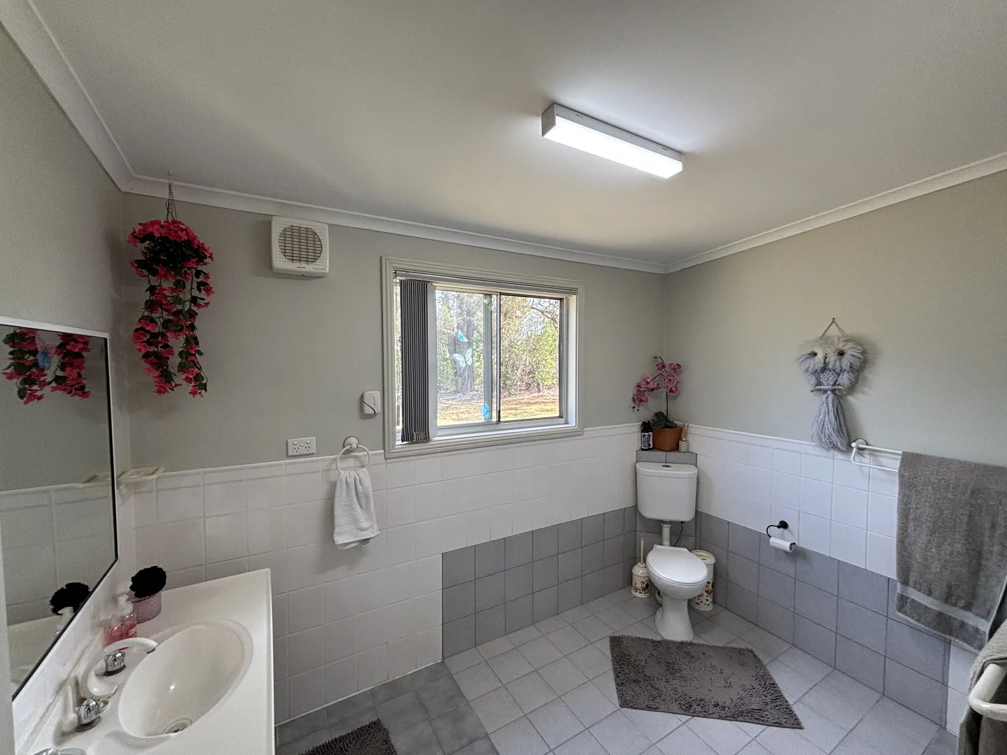 Additional image 11 of 13 Campbell Street, Coolah NSW 2843