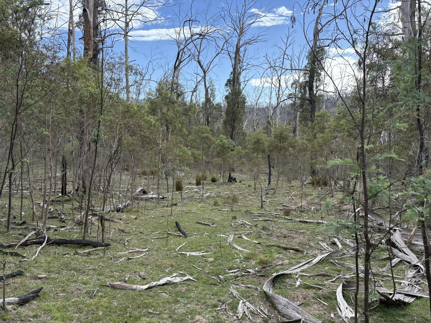 Additional image 9 of Lot 97/97, 175 Tumbledown Road, Peak View NSW 2630