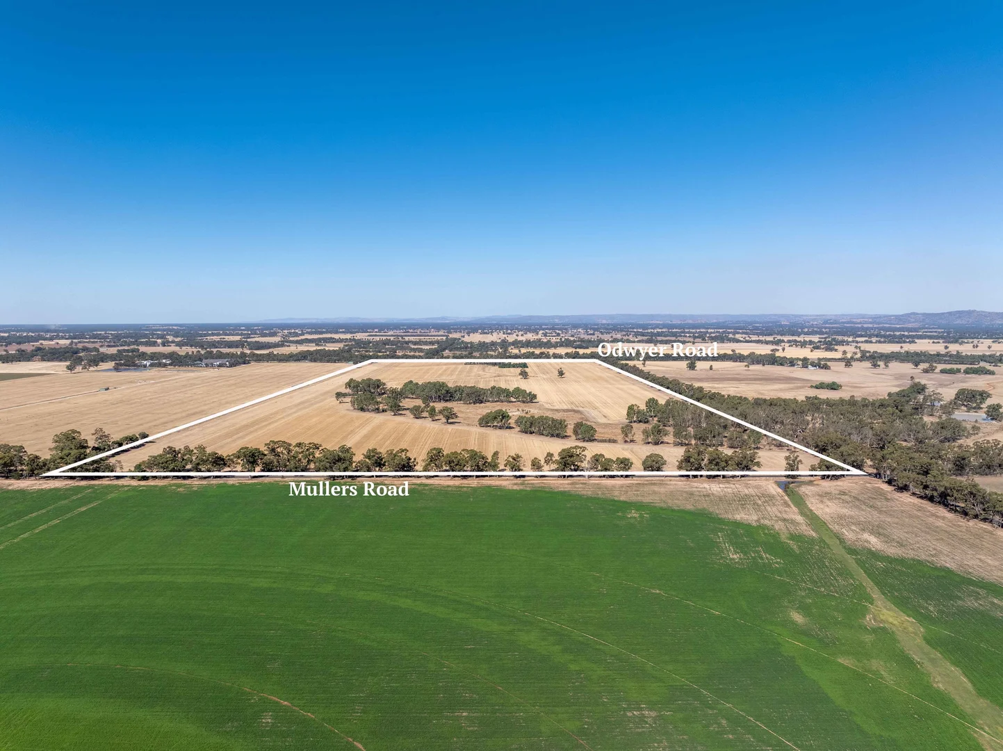 Additional image 4 of 96 Odwyer Road, Tabilk VIC 3607